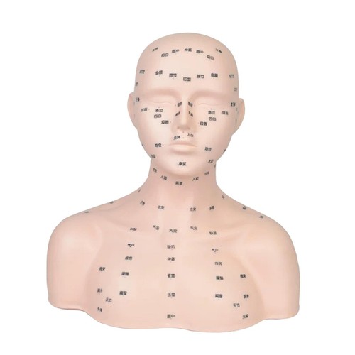 Tête mannequin - tête,
