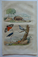 Gravure 1835 Dict. d'Histoire