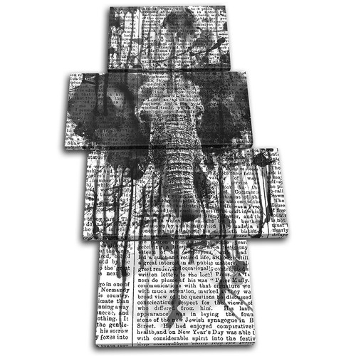 Elephant abstract paint mono - elephant,