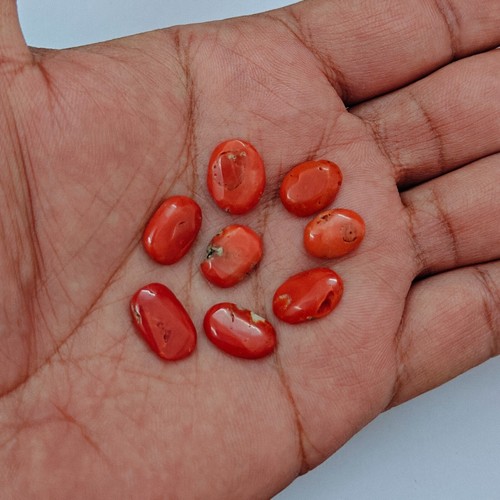 Cabochon corail mer italien - corail,
