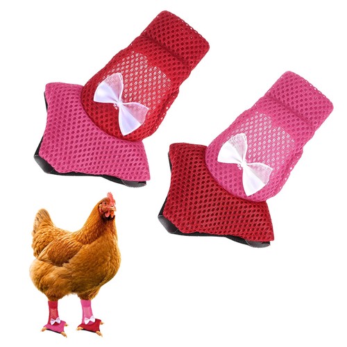 Chaussures pour poules bottes - chaussures,
