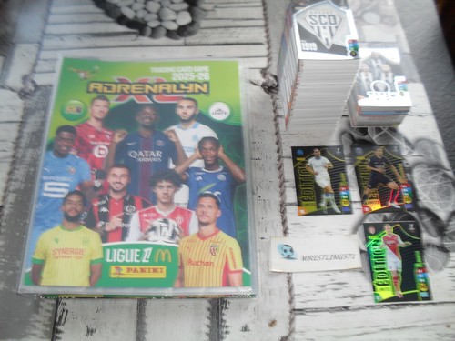 441 cartes panini adrenalyn - 441, xl