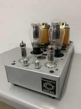 Amplificateur de puissance à tube unique Sunvalley SV-501SE 300B Japon haut d...