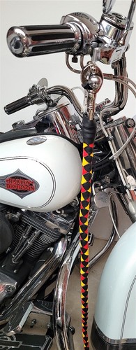 Ensemble fouet whips et - "whips",