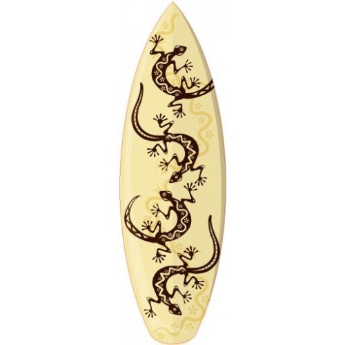 Planche surf salamandre - planche, de