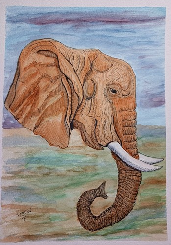 éléphant aquarelle papier - ,,