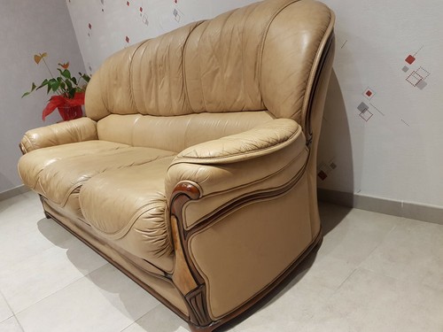 Canape convertible cuir - canape,