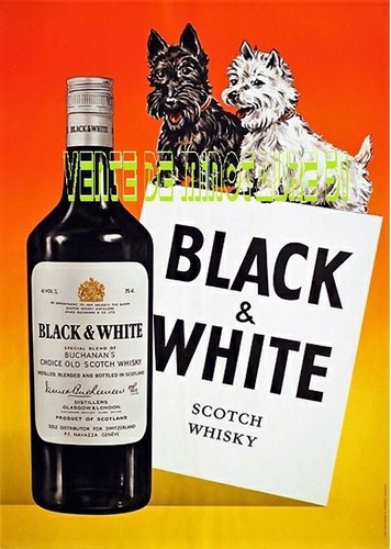 Black and white - scotch, whisky