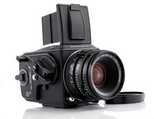 NEAR MINT Hasselblad 501 C