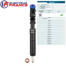 EJBR02201Z Delphi Injecteur Ford Focus Galaxy Tourneo 1.8 TDCi TDDi EJBR01601Z