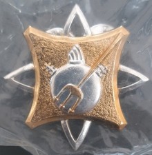 Insigne marine certificat - marine,