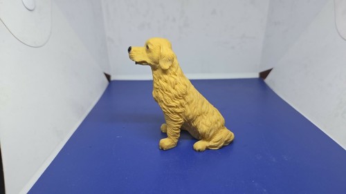 Collection atlas chien - , (4)