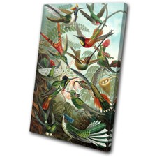 Birds Floral Tropical Vintage