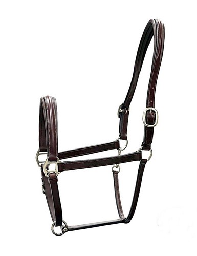 Halter cuir italien - halter,