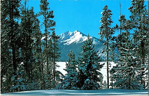1983 dillon pics - dillon, 10