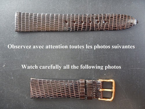 Lézard véritable pour - 16,