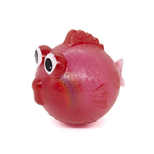 Jouet À Mâcher Pour Chien