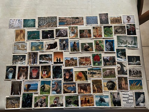 Image autocollant sticker - autocollant,