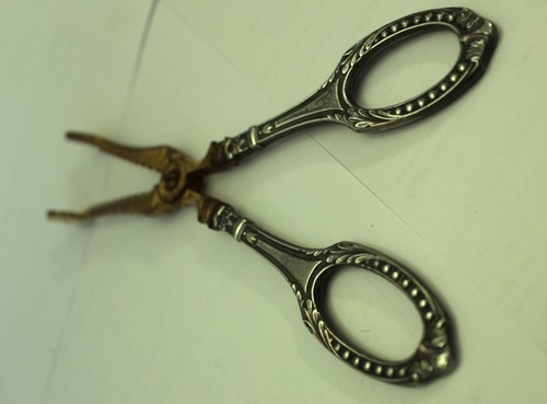 Ciseau pince - (à, ?)