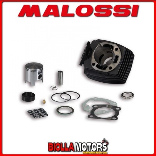 318384 cylindre kit - kit, malossi