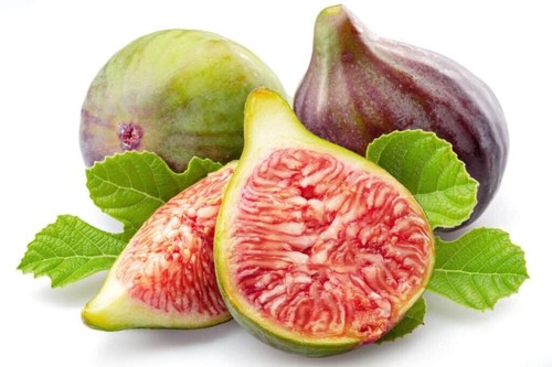 100 celeste fig seeds - 100+,