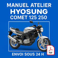 Manuel Atelier Hyosung Comet