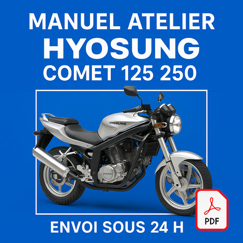 Manuel atelier hyosung comet - atelier,