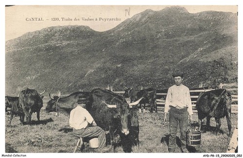 Aydp8 0675 traite des - traite,
