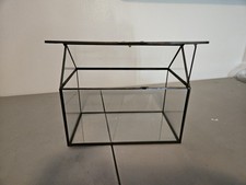 mini terrarium