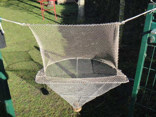 Pêche ancien poisson anguille - pêche,