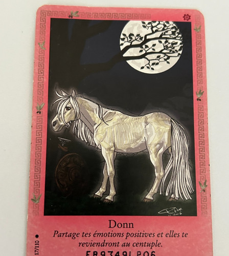 Carte bella sara donn - sara, n°