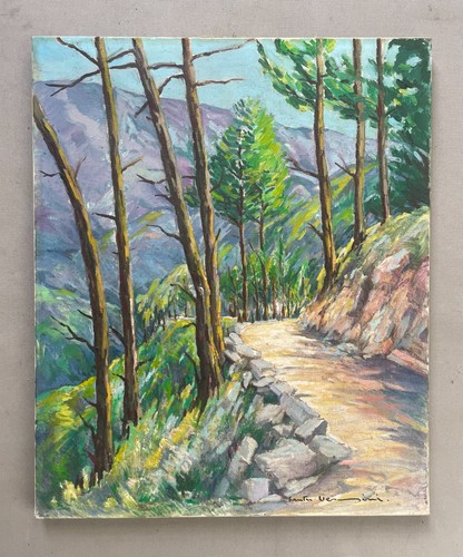 Corse chemin dans paysage - corse?,