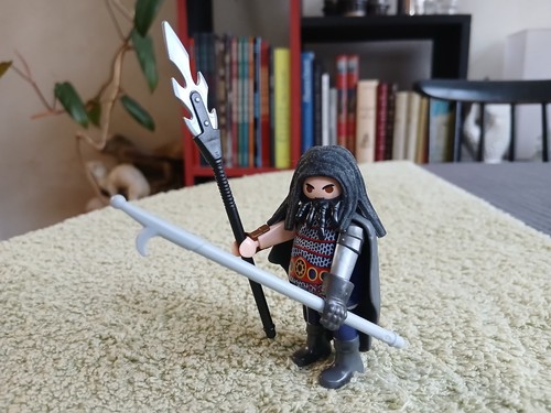 Dreamworks dragons playmobil - dreamworks,