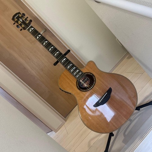 Guitare acoustique électrique