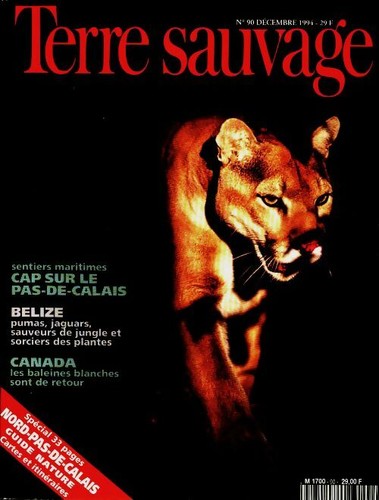 Terre sauvage cap sur - sauvage, :