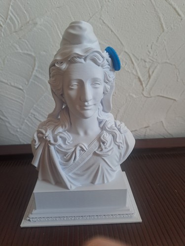 Buste marianne - buste,