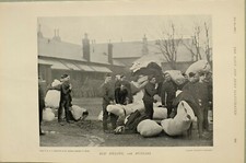 1897 Imprimé Lit Remplissage