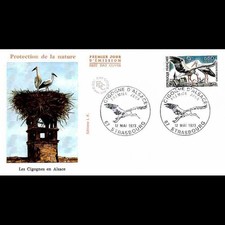 FDC JF - Les cigognes d'Alsace