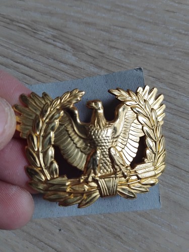 Insigne militaire usa - militaire,