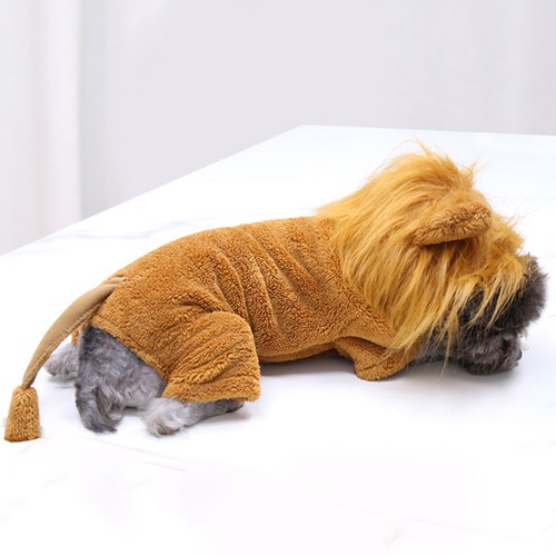 Accessoires pour chien - accessoires,