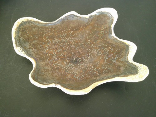 Coupe ceramique forme de - coupe,