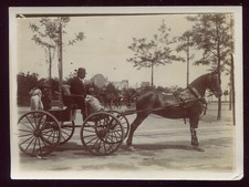 Photo ancienne attelage - photo,