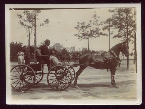 Photo ancienne attelage - ancienne,