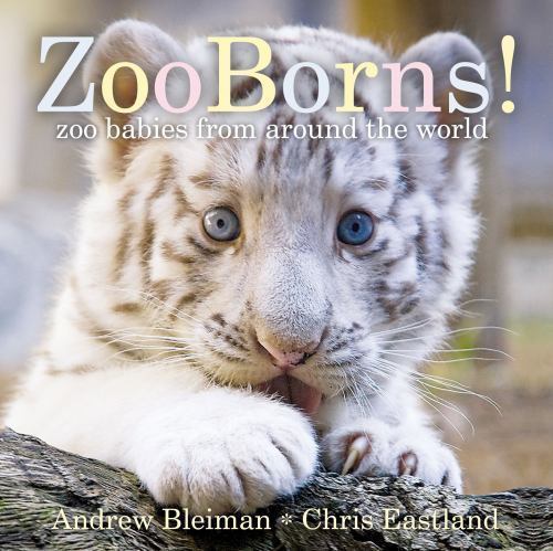 Zooborns zoo babies from - zooborns!:,