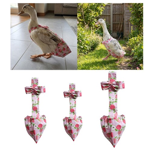 Couches pour canards - couches,