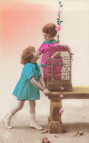 Enfants avec canari dans - canari,