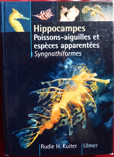 Hippocampes poissons aiguilles - hippocampes, poissons-aiguilles