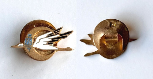 Afn insigne chéchia - insigne,