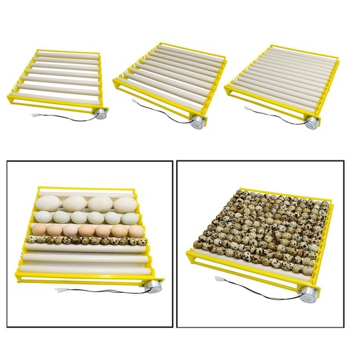 Plastique oeuf incubateur - en,