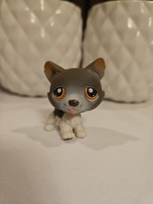 ✨️lot Littlest Pet Shop